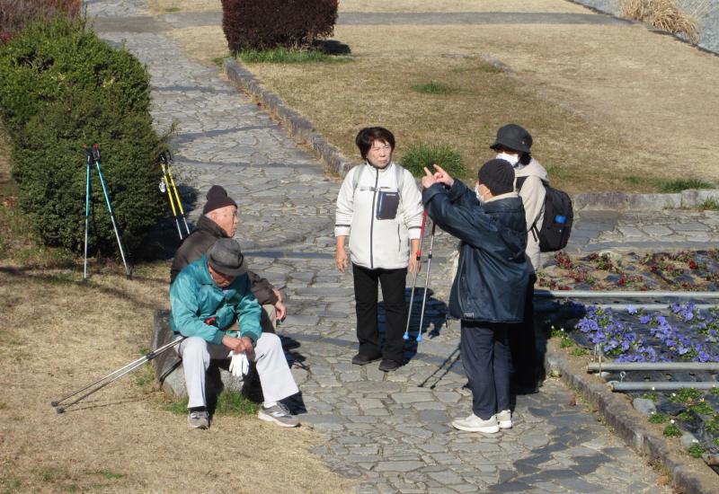 こがめさんは楽しそうです