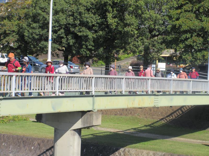 人道橋を渡るうさぎさん