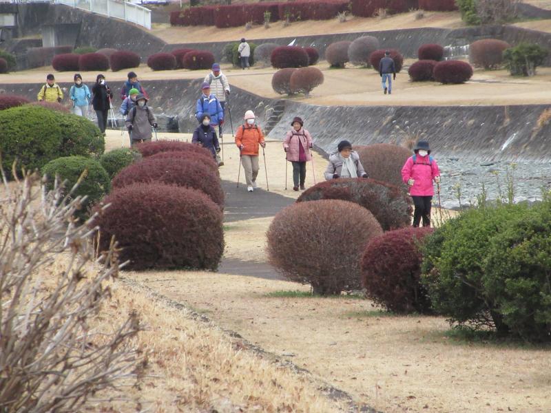右岸の緑道です
