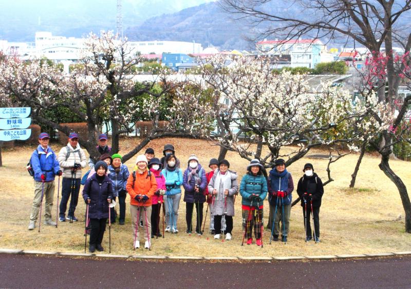 カルチャパークの梅林です、
