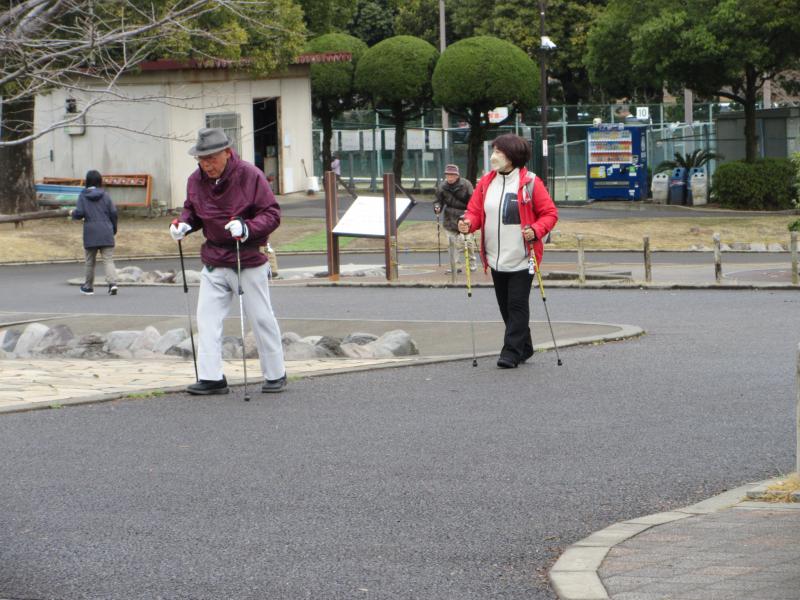 坂道はポール使って上ります