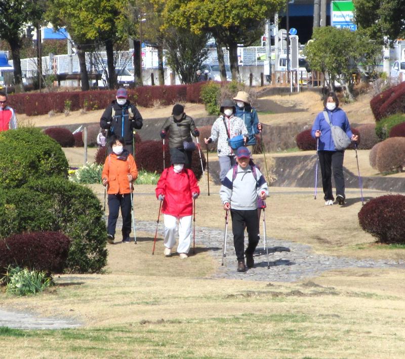 こちらはカメさんです