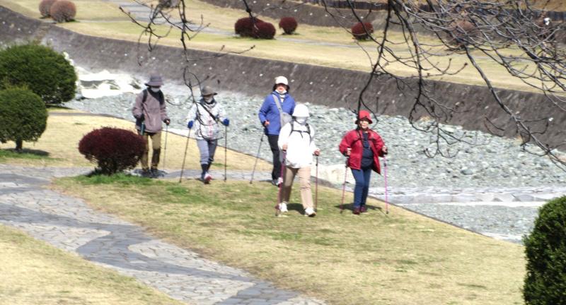 カメさんは右岸を歩きます