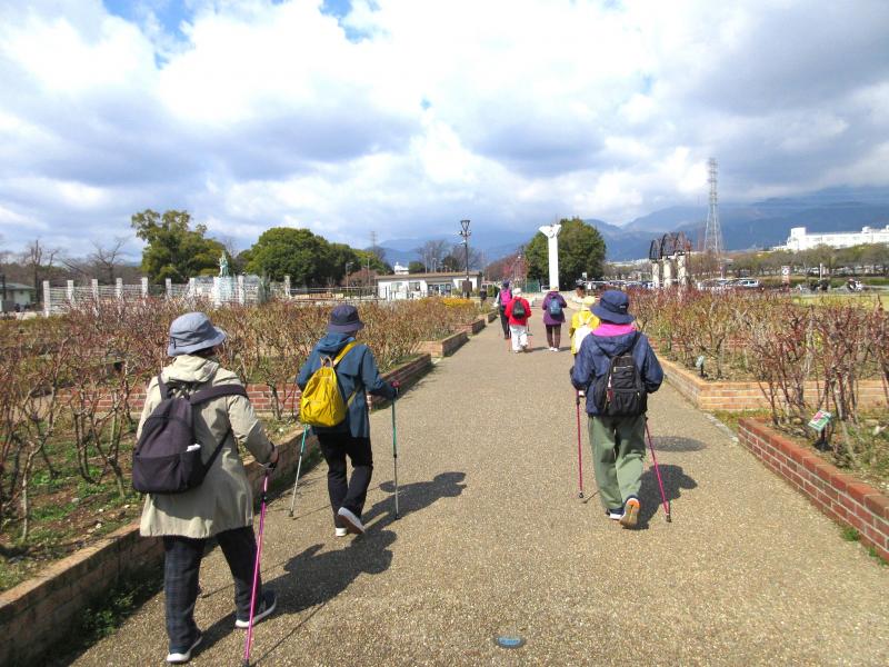 いつバラが咲くのですか