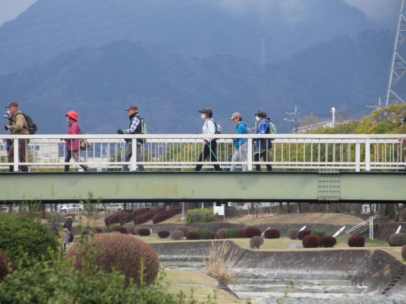 人道橋のうさぎさん