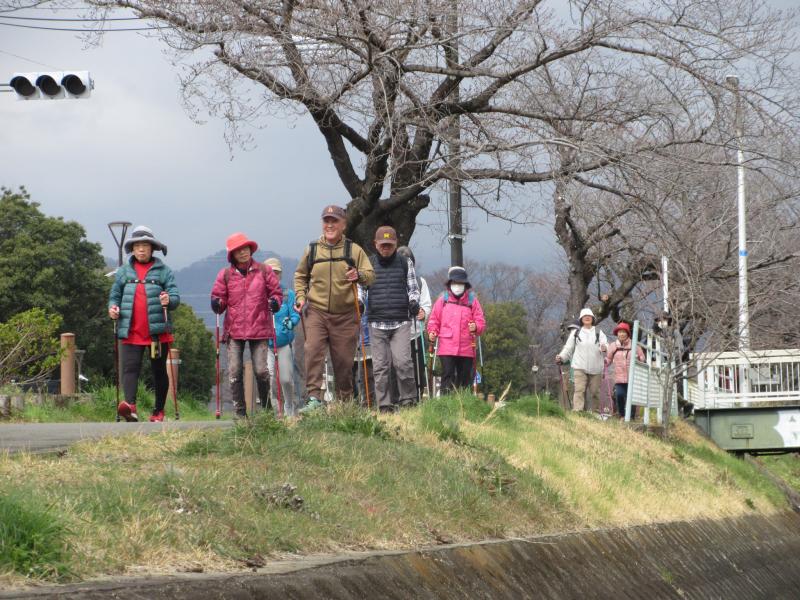 橋を渡ってきたうさぎさん