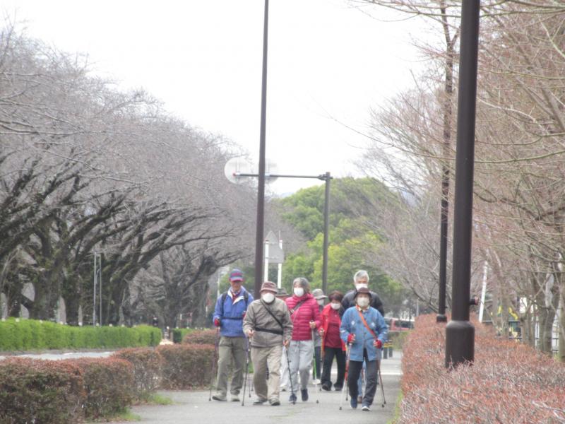 こちらはこがめさん