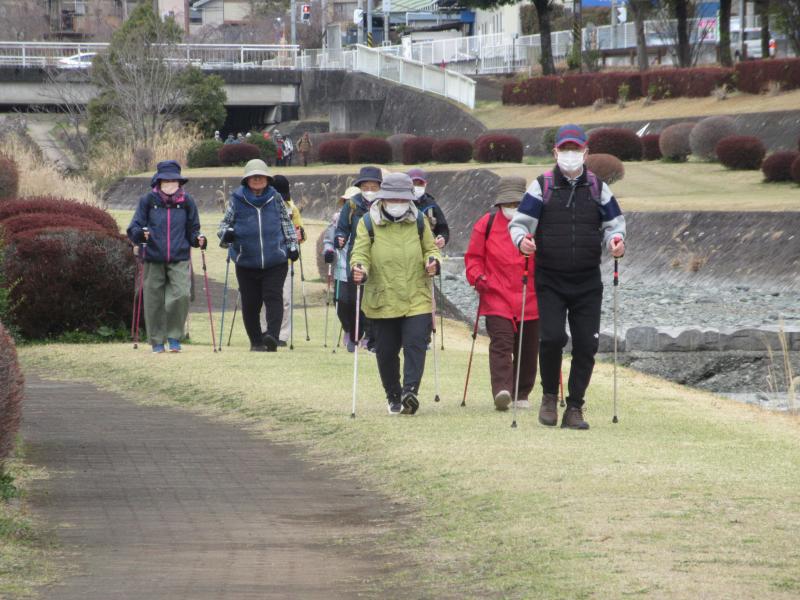 カメさんグループです
