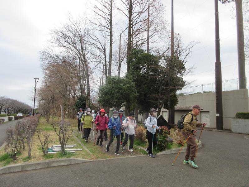 ウサギさんは戻ります