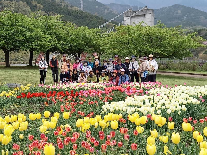 チューリップ畑の前で