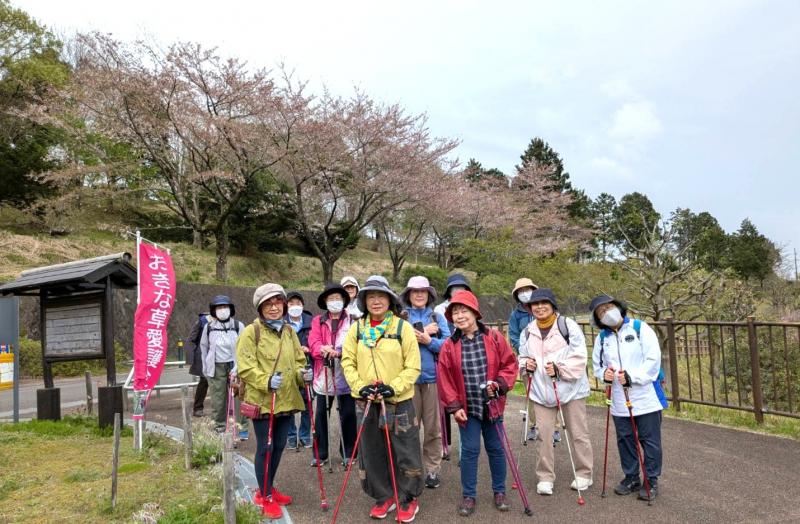 おきな草が咲いています