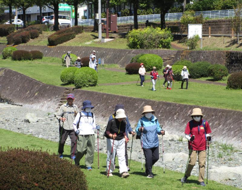 手前にカメさん、向こうはうさぎさん