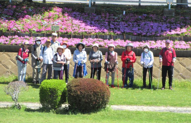 ウサギさん芝桜の前で
