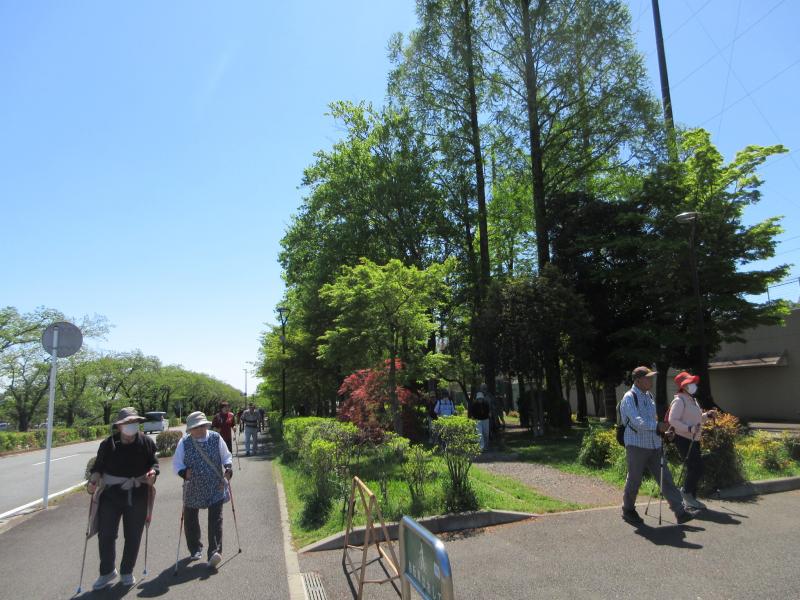 日差しが強くなりました。今年に夏は？