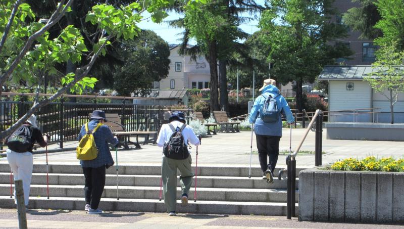 ステップエクササイズをやってます