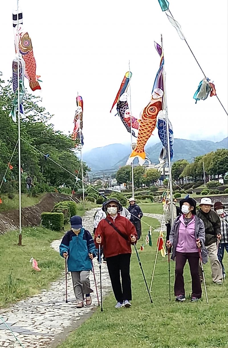 鯉も風があり泳いでます