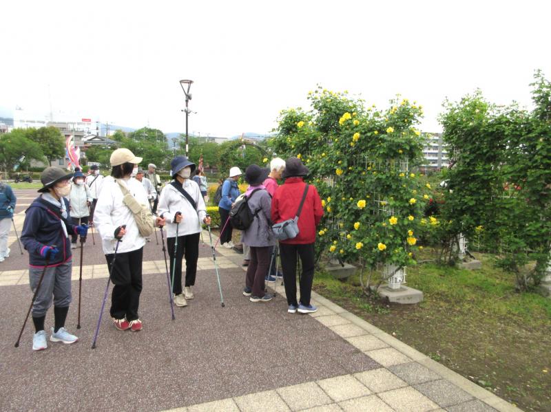 バラ園もこれからですね