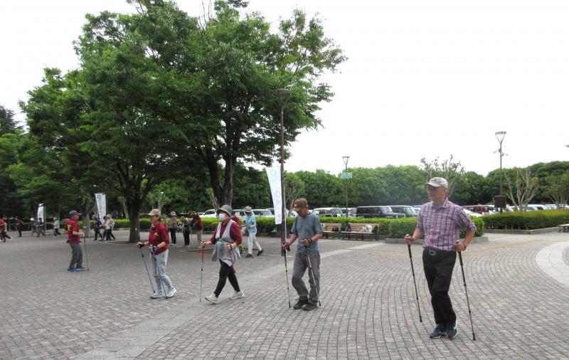 横一列で姿勢よく