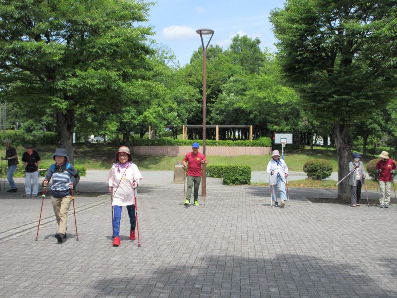 姿勢よく歩きます