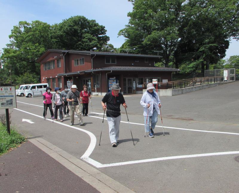 こがめさんグループです