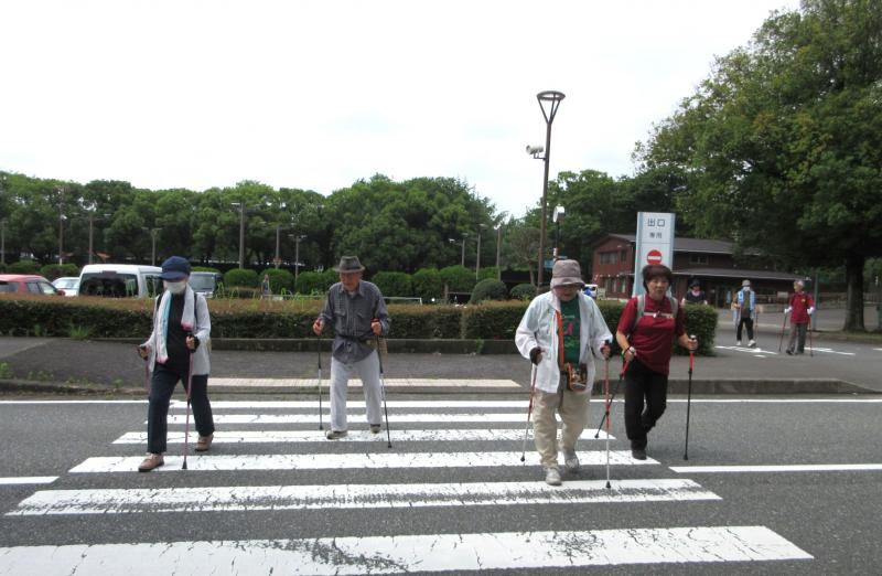 横断歩道の白線は45㎝