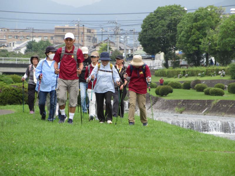 かめさんグループです