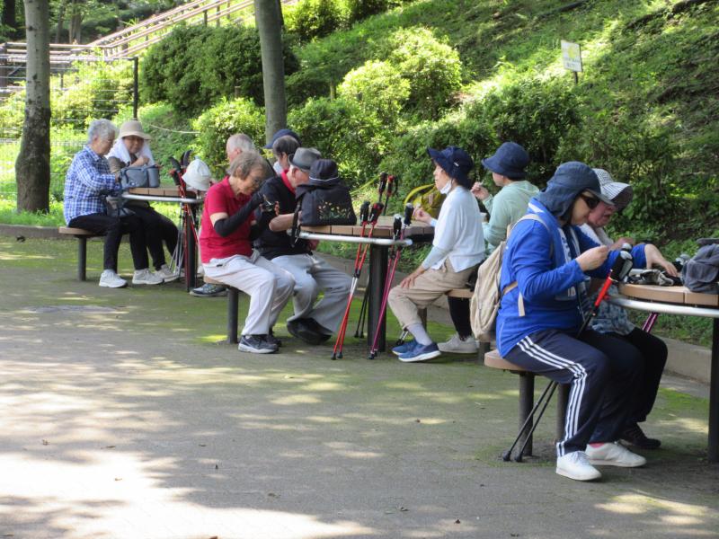 木陰で楽しく話し合い