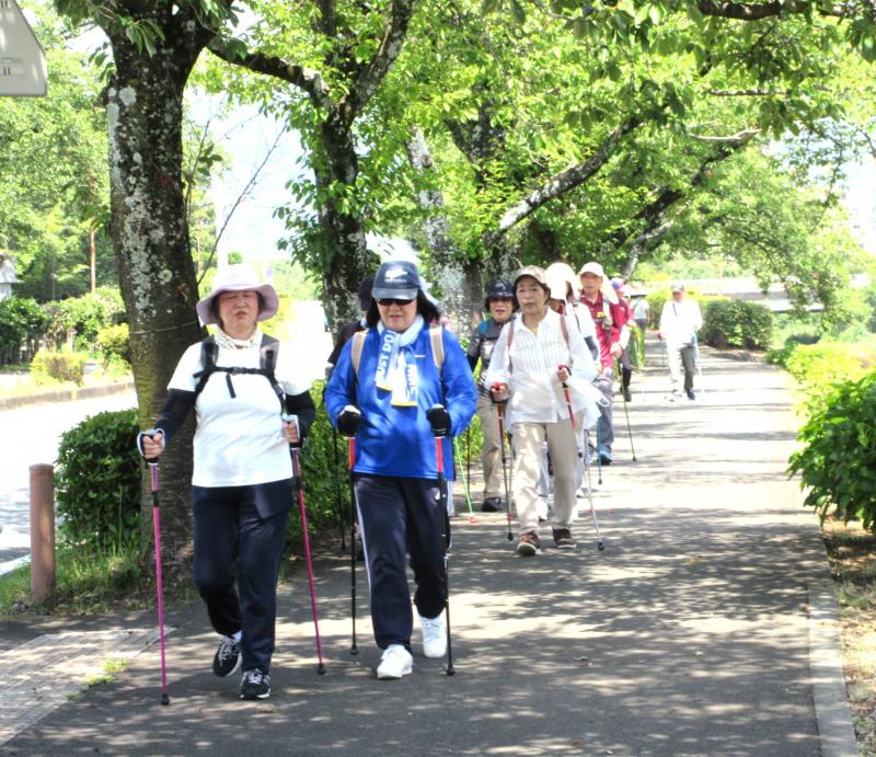 桜道が木陰です