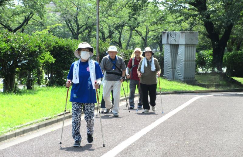 こがめさんグループ