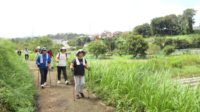 山道・農道を行きます