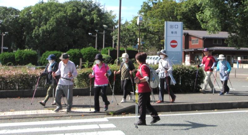 今日はこがめさんが多いですね