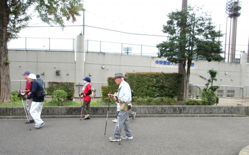 こがめさんも自分のペース