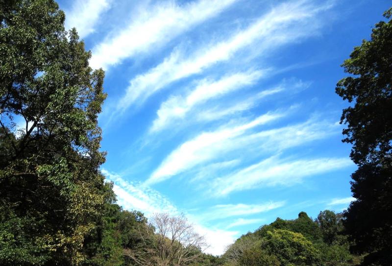 きれいな秋空